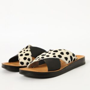 Chloe Black/Dalmation